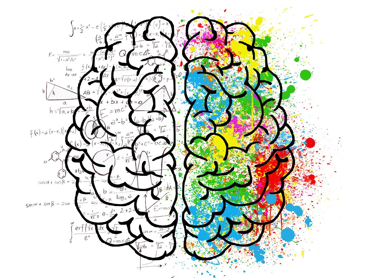 cerebro colores forma marca logotipo